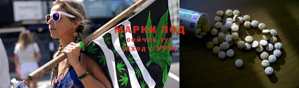 PSILOCYBIN Абдулино