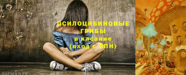PSILOCYBIN Абдулино
