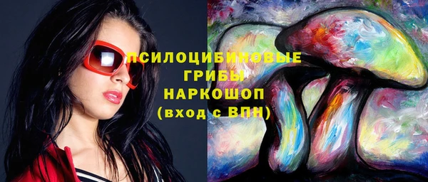 PSILOCYBIN Абдулино